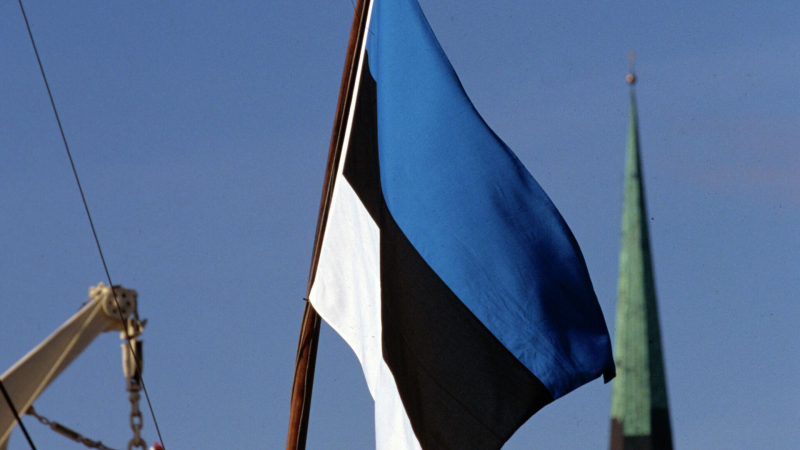 Эстония будет выдавать пособия только недавно прибывшим в страну украинцам